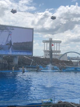 名古屋港水族館に投稿された画像（2021/7/25）