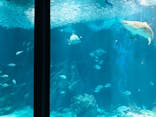 マリンワールド海の中道に投稿された画像（2021/7/25）