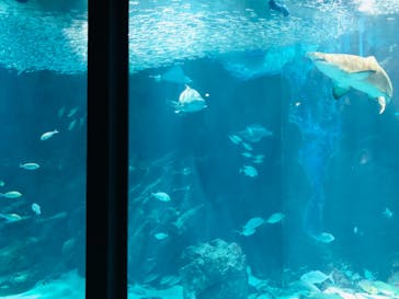 マリンワールド海の中道に投稿された画像（2021/7/25）