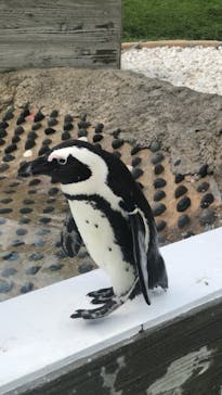 マリンワールド海の中道に投稿された画像（2021/7/25）