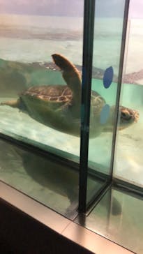 マリンワールド海の中道に投稿された画像（2021/7/25）