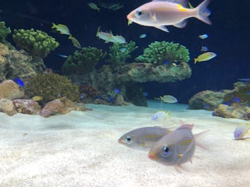 マリンワールド海の中道に投稿された画像（2021/7/25）