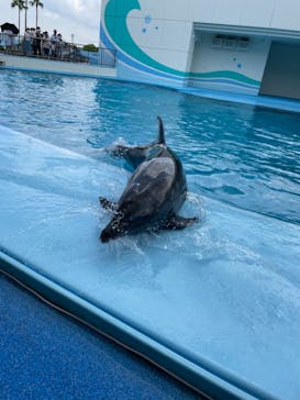 南知多ビーチランド＆南知多おもちゃ王国に投稿された画像（2021/7/25）