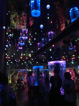 マクセル アクアパーク品川に投稿された画像（2021/7/25）