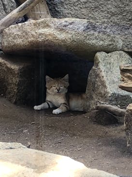 神戸どうぶつ王国に投稿された画像（2021/7/25）