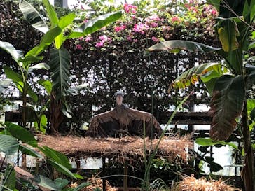 神戸どうぶつ王国に投稿された画像（2021/7/25）