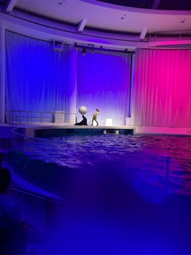 アクアワールド茨城県大洗水族館に投稿された画像（2021/7/25）