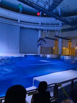 アクアワールド茨城県大洗水族館に投稿された画像（2021/7/25）