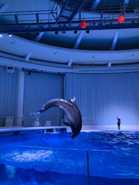 アクアワールド茨城県大洗水族館に投稿された画像（2021/7/25）