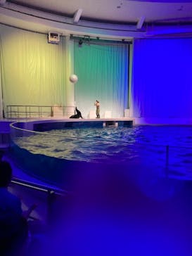 アクアワールド茨城県大洗水族館に投稿された画像（2021/7/25）