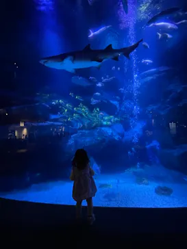 すみだ水族館に投稿された画像（2021/7/25）
