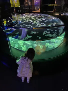 すみだ水族館に投稿された画像（2021/7/25）