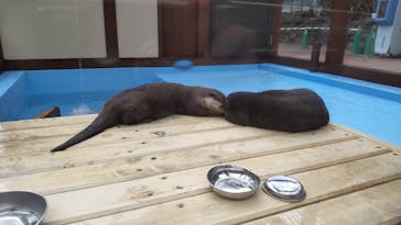 ゼロ距離水族館 伊勢シーパラダイスに投稿された画像（2021/7/25）