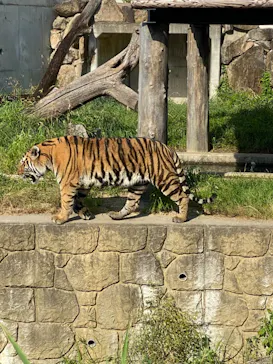 天王寺動物園に投稿された画像（2021/7/25）
