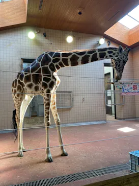 天王寺動物園に投稿された画像（2021/7/25）