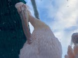 サンシャイン水族館に投稿された画像（2021/7/25）