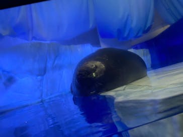 サンシャイン水族館に投稿された画像（2021/7/25）