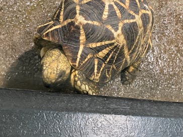 サンシャイン水族館に投稿された画像（2021/7/25）