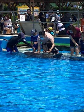 南知多ビーチランド＆南知多おもちゃ王国に投稿された画像（2021/7/25）