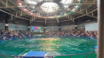 マクセル アクアパーク品川に投稿された画像（2021/7/25）