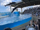 新江ノ島水族館に投稿された画像（2021/7/25）