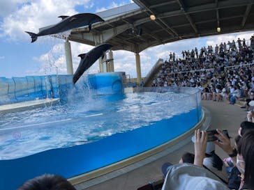 新江ノ島水族館に投稿された画像（2021/7/25）