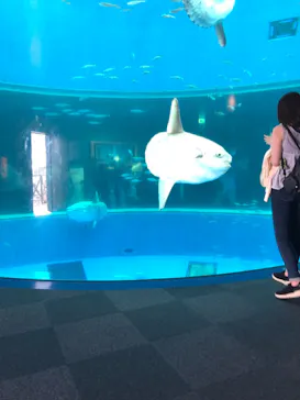 横浜・八景島シーパラダイスに投稿された画像（2021/7/25）