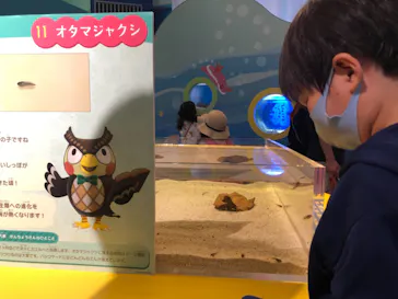 横浜・八景島シーパラダイスに投稿された画像（2021/7/25）