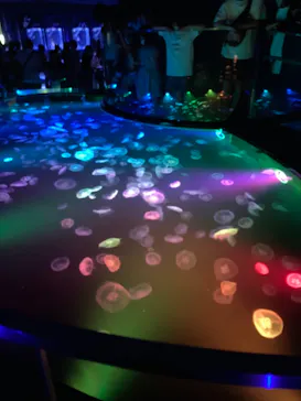 すみだ水族館に投稿された画像（2021/7/25）