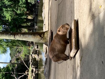 長崎バイオパークに投稿された画像（2021/7/25）