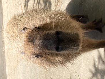 長崎バイオパークに投稿された画像（2021/7/25）