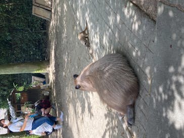 長崎バイオパークに投稿された画像（2021/7/25）