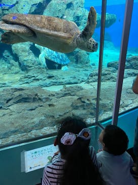 名古屋港水族館に投稿された画像（2021/7/25）