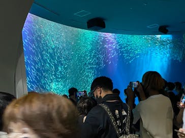 名古屋港水族館に投稿された画像（2021/7/25）