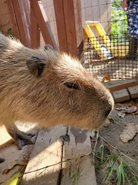 横浜・八景島シーパラダイスに投稿された画像（2021/7/25）