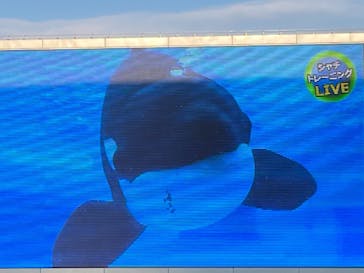 名古屋港水族館に投稿された画像（2021/7/25）