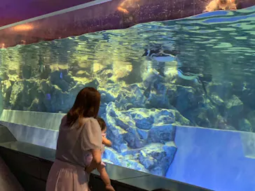 すみだ水族館に投稿された画像（2021/7/25）