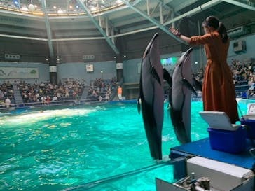 マクセル アクアパーク品川に投稿された画像（2021/7/25）