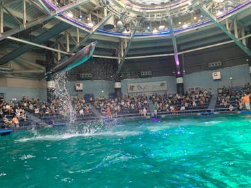 マクセル アクアパーク品川に投稿された画像（2021/7/25）