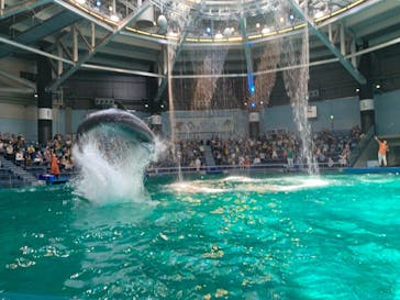 マクセル アクアパーク品川に投稿された画像（2021/7/25）