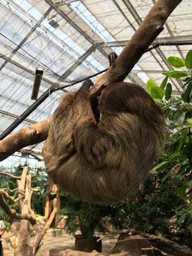 神戸どうぶつ王国に投稿された画像（2021/7/25）