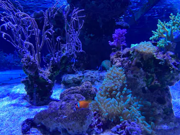 すみだ水族館に投稿された画像（2021/7/25）