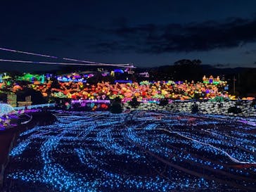 伊豆ぐらんぱる公園に投稿された画像（2021/7/25）