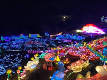 伊豆ぐらんぱる公園に投稿された画像（2021/7/25）