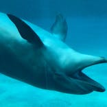 名古屋港水族館に投稿された画像（2021/7/26）