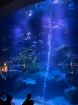 すみだ水族館に投稿された画像（2021/7/25）