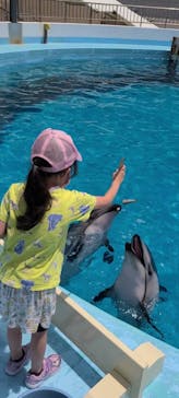 マリンワールド海の中道に投稿された画像（2021/7/26）