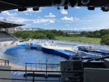 京都水族館に投稿された画像（2021/7/26）