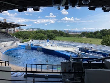 京都水族館に投稿された画像（2021/7/26）