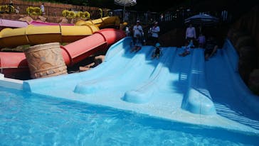 日本モンキーパークに投稿された画像（2021/7/26）